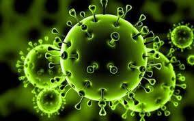 Research on mutations in different types of covid virus