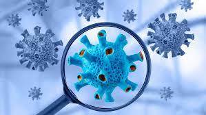 What You Should Know About COVID-19